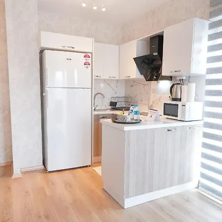 King Ms5 Appartement Istanboel