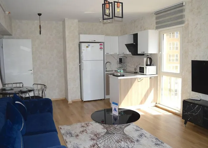 King Ms5 이스탄불